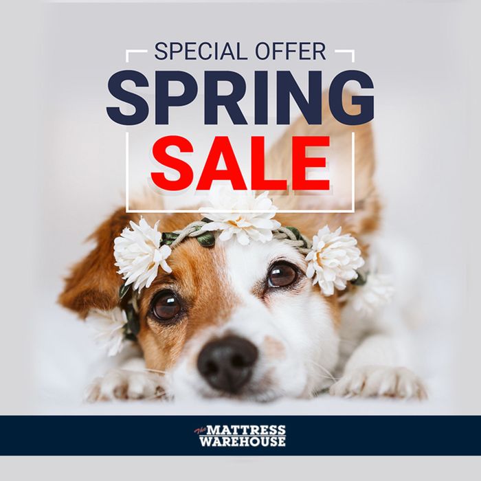 The Mattress Warehouse Randburg Canero Business Park, Jacaranda