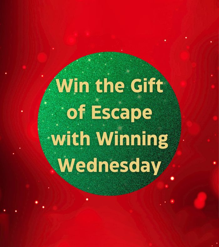 Bargain Books catalogue | Win The Gift | 2023/11/10 - 2023/12/31