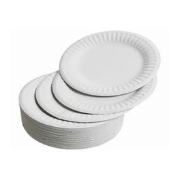 PAPER PLATES LARGE 230mm PREPACK offers at R 44,9 in West Pack Lifestyle