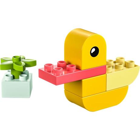 LEGO DUPLO My First Duck (30673) offers at R 69,9 in ToysRUs