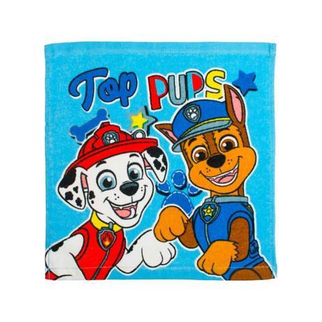 Paw Patrol Face Cloth offers at R 34,9 in ToysRUs