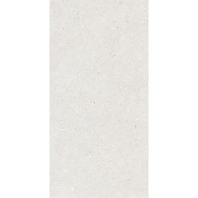 Fosil Bianco Polished Porcelain Floor 1st 598x1198mm (2.15m2) offers at R 644,98 in Tile Africa