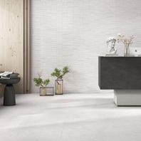 Fosil Dove Polished Porcelain Floor 1st 598x1198mm (2.15m2) offers at R 644,98 in Tile Africa
