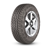 Goodyear Wrangler Territory AT/S offers at R 3699 in Tiger Wheel & Tyre