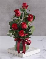 Red Roses In Clear Square Vase offers at R 377 in Netflorist