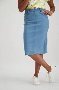 Jenny Denim Skirt offers at R 199 in Dunns