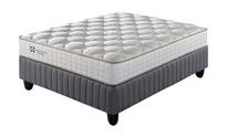 Sealy Willowbridge Firm Single Bed Set Standard Length offers at R 6299 in Dial a Bed