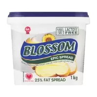 Blossom Spread 25% Fat Spread 1kg offers at R 34,99 in Checkers