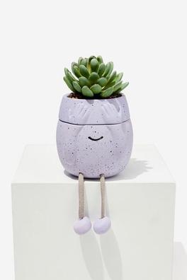 Stashed Away Mini Planter offers at R 199,99 in Typo
