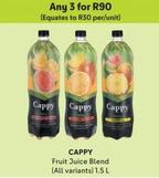 Cappy - Fruit Juice Blend offers at R 90 in Makro