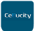 Logo Cellucity